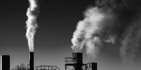 Delitos Societarios Almonte · Delitos Contra el Medioambiente / Contaminación