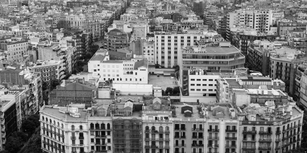 Delitos Contra la Propiedad / Urbanísticos Palos de la Frontera · Parcelación en Suelo No Edificable